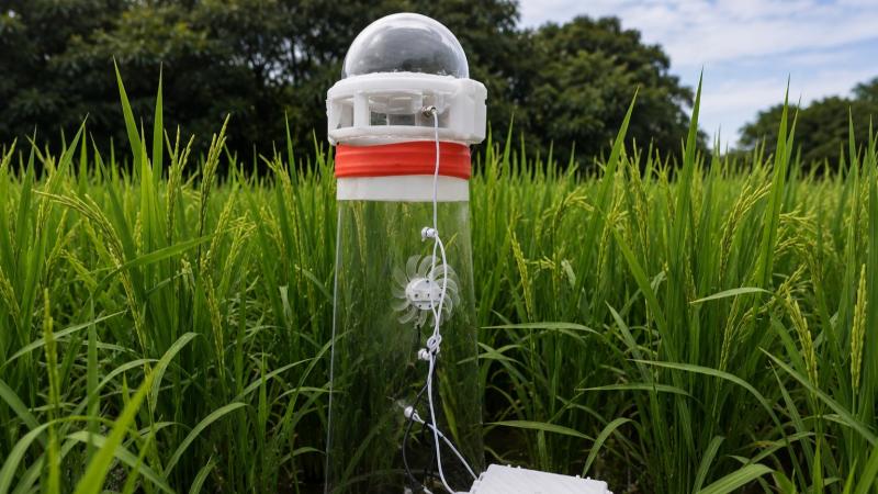 Innovación frente al cambio climático: UNALM desarrolla la primera tecnología peruana para medir emisiones de metano en cultivos de arroz