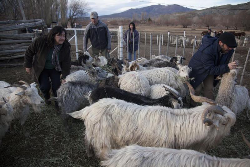 INNOVACIONES DE PEQUEÑOS PRODUCTORES DE AMÉRICA LATINA LOGRAN CONTRIBUIR CON LA ADAPTACIÓN AL CAMBIO CLIMÁTICO