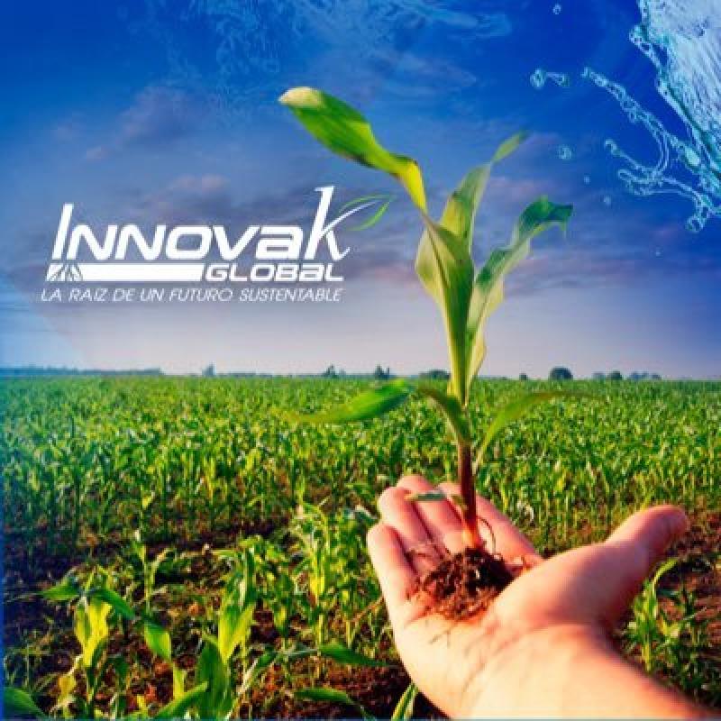 Innovak Global: desarrollo radicular con bioestimulación