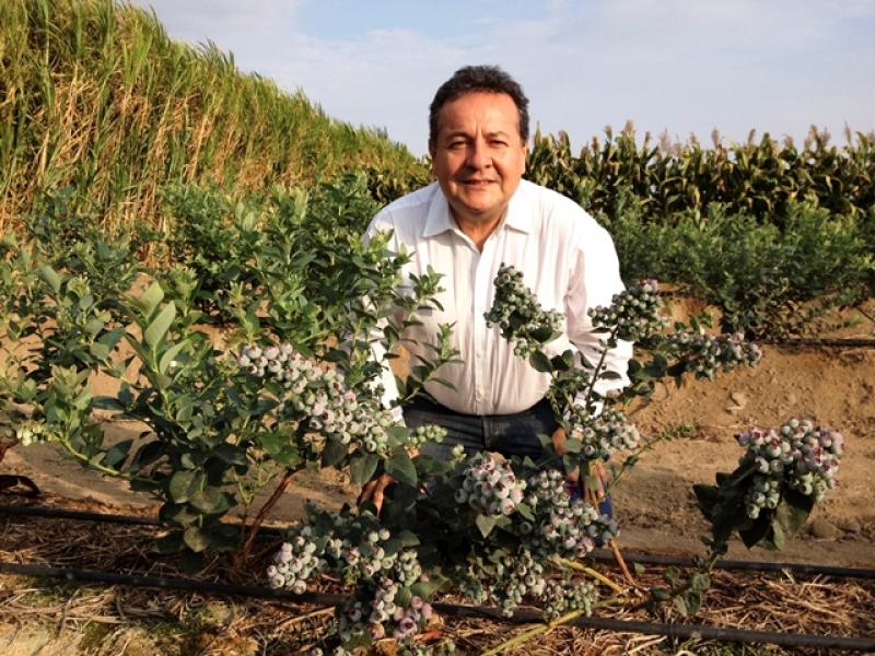 Intervención de Sierra y Selva Exportadora generó más de 1700 planes de negocio en los últimos 6 años