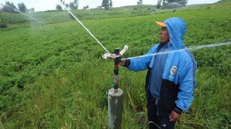Inversión en riego tecnificado ayudará a impulsar la agricultura familiar en 19 regiones