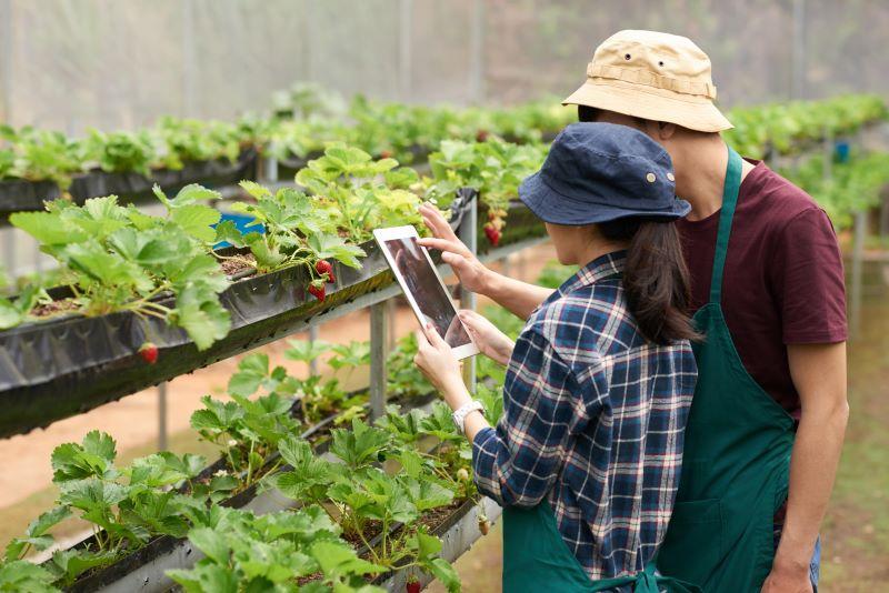 Inversión en tecnologías con Inteligencia Artificial para la agricultura crecerá de US$ 700 millones en 2019 a más de US$ 2.400 millones para el 2025