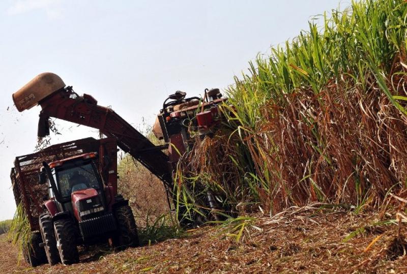 INVERTIRÁN S/. 350 MILLONES PARA INSTALAR PLANTA DE ETANOL EN CAYALTÍ