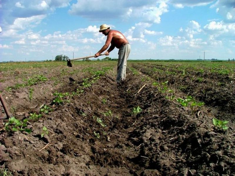 INVIERTEN S/.11 MILLONES EN PROYECTOS AGROPECUARIOS EN HUANCAVELICA