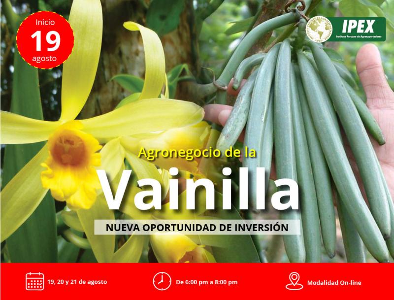 IPEX organiza curso virtual sobre agronegocios de vainilla