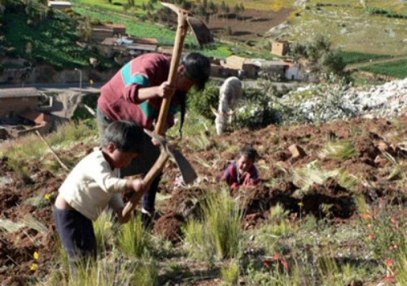 IV CENSO AGROPECUARIO: CONTINÚA REGISTRO DE AGRICULTORES Y PARCELAS