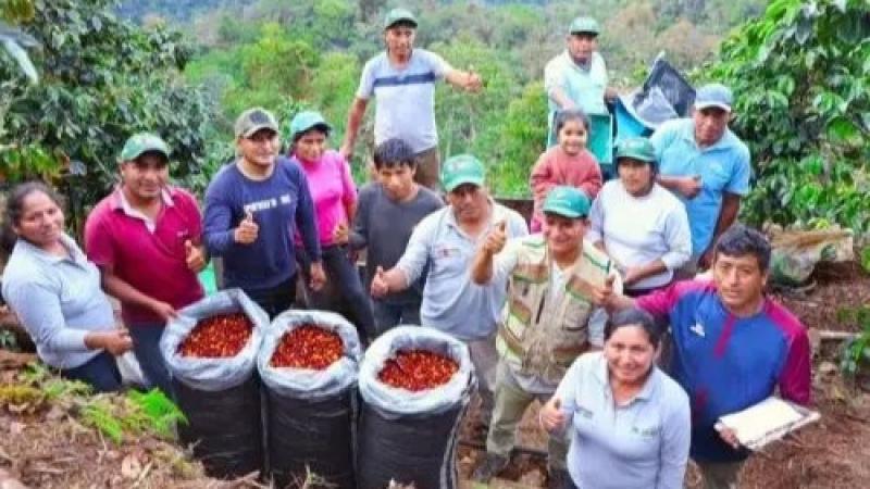 JNC: Ley N° 32434 provocaría grave daño a 1.360 cooperativas agrarias