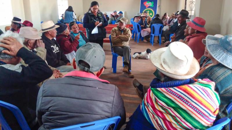 Junín: adultos mayores descubren nuevas fuentes de ingresos con la producción de cuyes