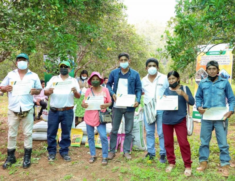 Junín: logran reducir en un 80 % incidencia de la mosca de la fruta en cultivos durante el periodo marzo-diciembre de este año