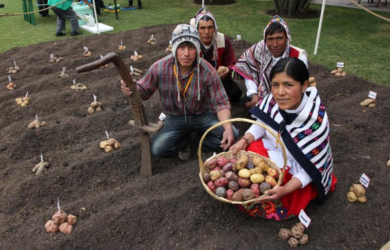 La agricultura familiar y su aporte a la agrobiodiversidad