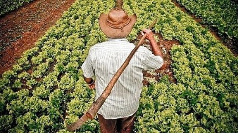 La crisis agraria podría reactivar las protestas en el corto plazo