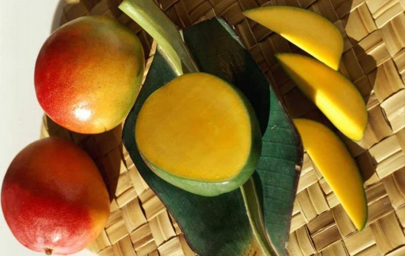 La dimensión internacional del mango de México y Latinoamérica