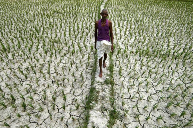 La financiación para temas ambientales puede y debe cambiar