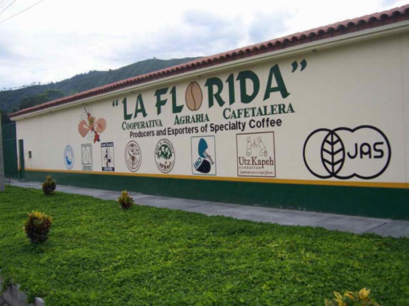 LA FLORIDA AUMENTARÁ PRODUCCIÓN DE CAFÉ EN UN 67% 