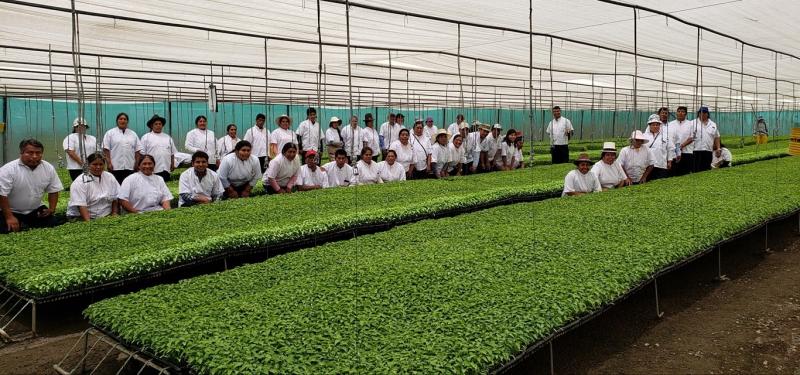 La garantía de calidad y buena genética de Viveros Génesis