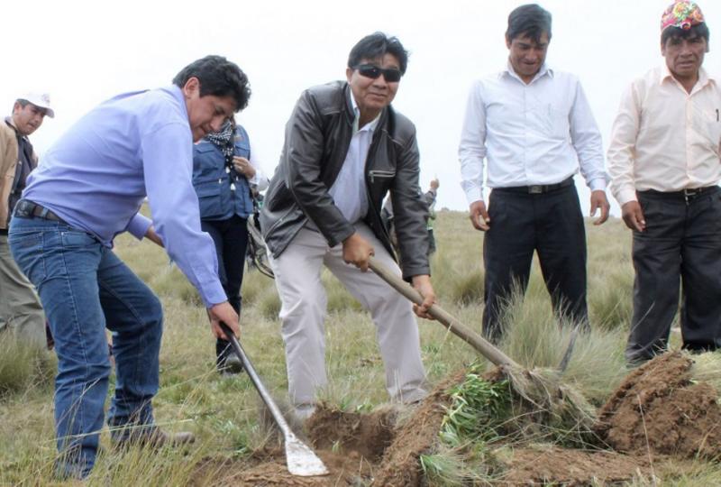 LA LIBERTAD: SIEMBRAN 4 MILLONES DE PINOS EN OTUZCO