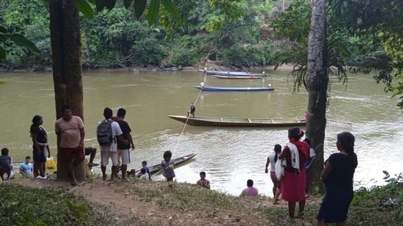 La minería ilegal impacta en la producción de cacao
