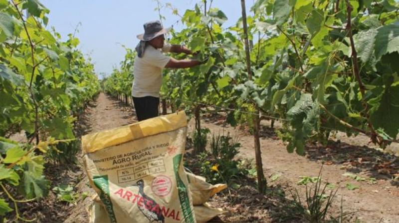 La próxima semana culmina proceso de compra de urea