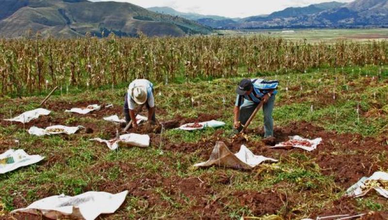 La segunda reforma agraria