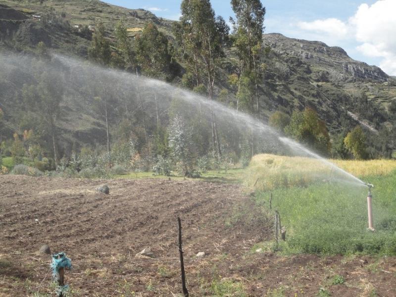 La sierra puede ser competitiva y acceder a mercados de alta diferenciación