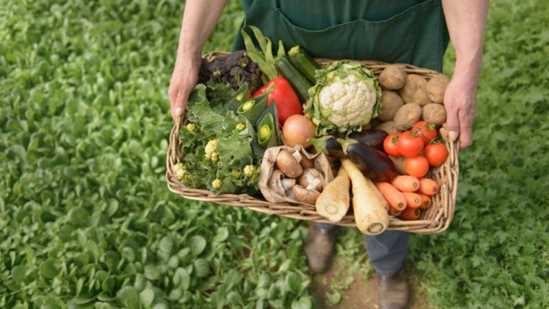 La superficie ecológica en España se acerca ya al 10%