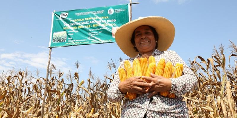 Lanzan convocatoria para fondos del PNIA en varias ciudades del país