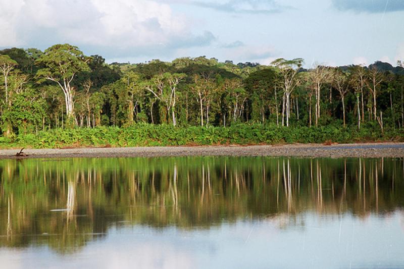 LANZAN INICIATIVA DE CONSERVACIÓN DEL MANU