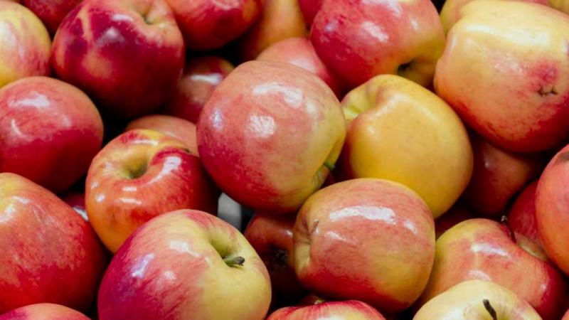 Las existencias de manzana en Europa alcanzaron las 3.038.976 toneladas a febrero de este año