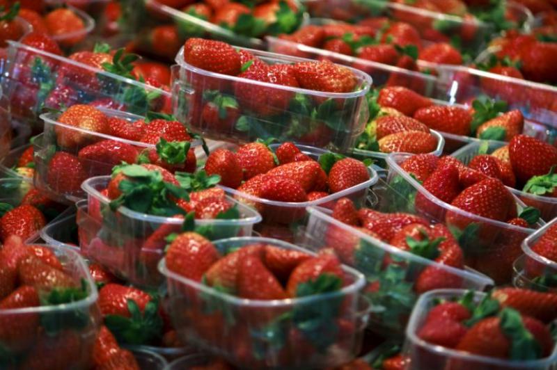 LAS FRESAS SON LOS BERRIES MÁS POPULARES DE BRASIL