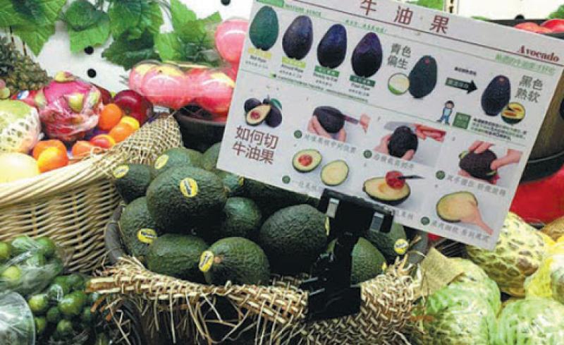 Las importaciones chinas de aguacate caen un 19%