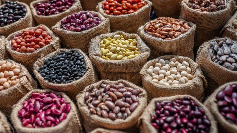 “Las legumbres son cultivos claves de la agricultura andina”