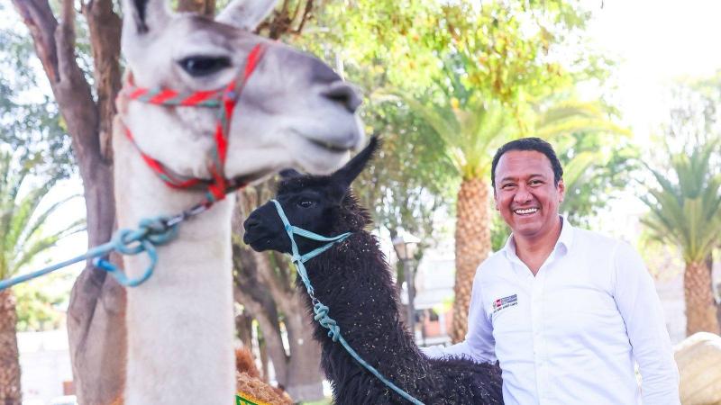 Ley del canón hídrico es beneficiosa para la conservación de camélidos