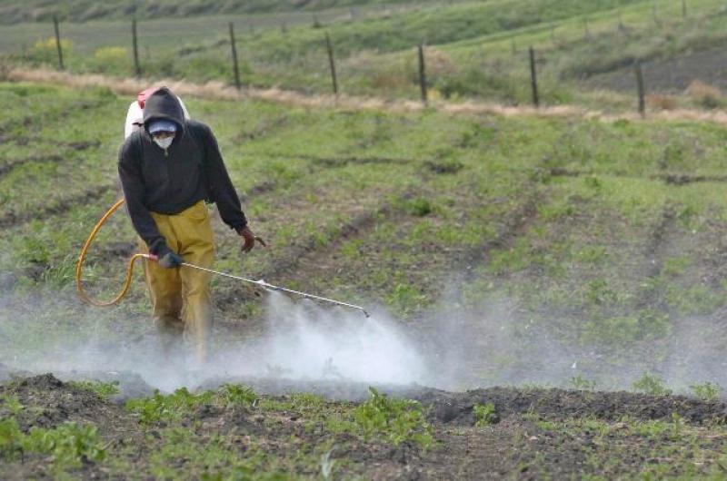 LEYES NACIONALES SOBRE PLAGUICIDAS NECESITAN RENOVARSE