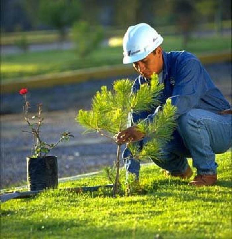 LÍNEA DE CRÉDITO AMBIENTAL BENEFICIARÍA A EMPRESAS AGROINDUSTRIALES