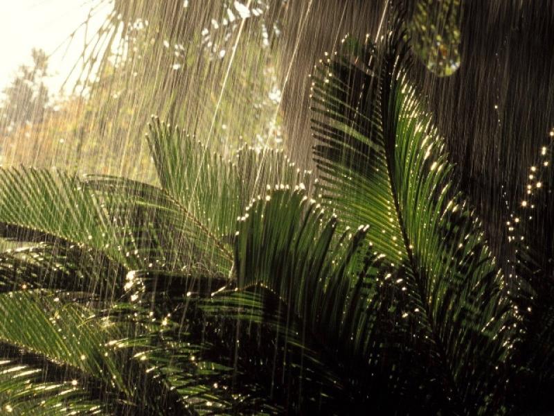 LLUVIA EN LA SELVA ESTA SEMANA POR TERCER FRIAJE DEL AÑO