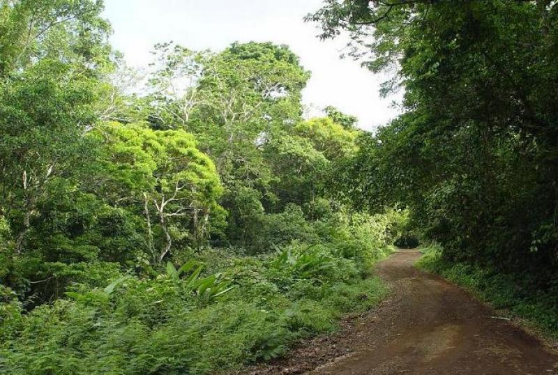 LOS BONOS DE CARBONO EN AUMENTO 