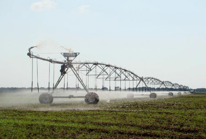 Los cinco sistemas de riego más utilizados para ahorrar el agua