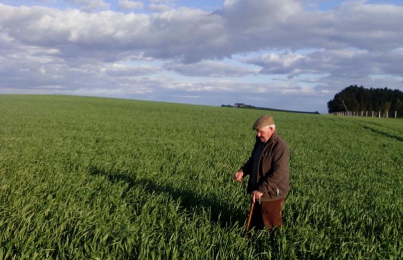 Los desafíos de una agricultura que envejece