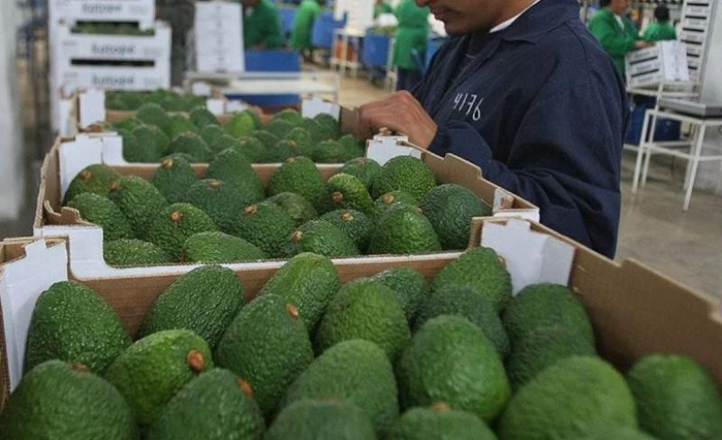 “Los mercados asiáticos se han convertido en una prioridad muy grande para nosotros”