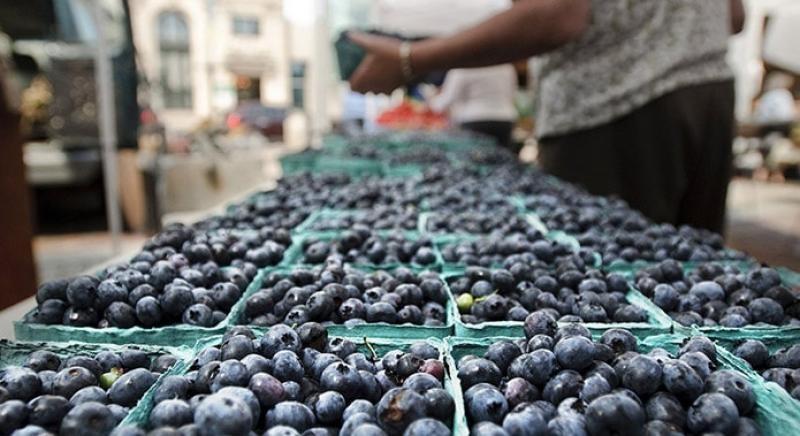 Los próximos cuatro nuevos destinos para las agroexportaciones peruanas están en Asia