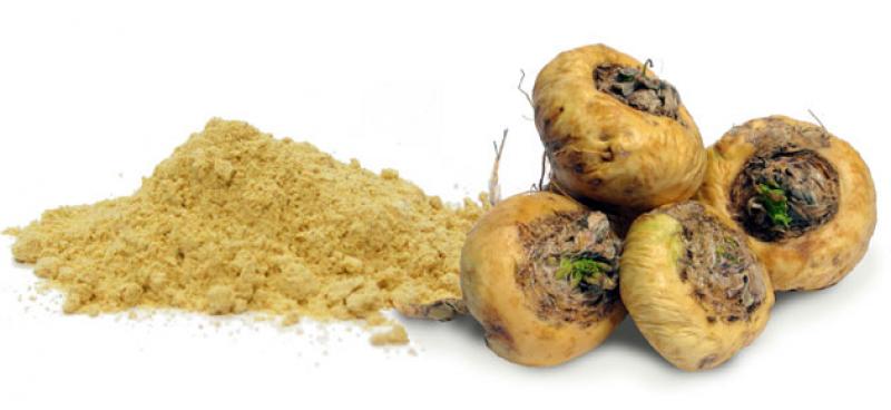 Maca peruana ingresa a categoría de súper alimentos en Turquía