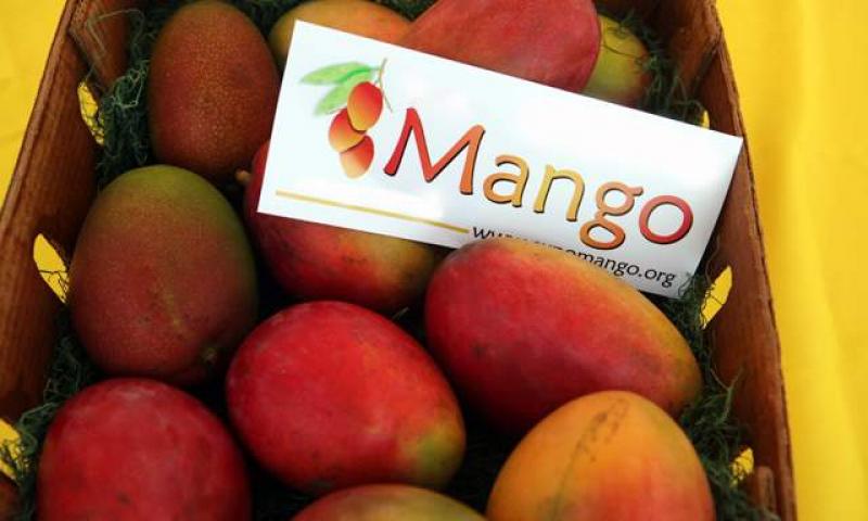 MACRO REGIÓN NORTE: AUMENTAN ENVÍOS DE MANGOS Y CAEN LOS DE ESPÁRRAGOS  