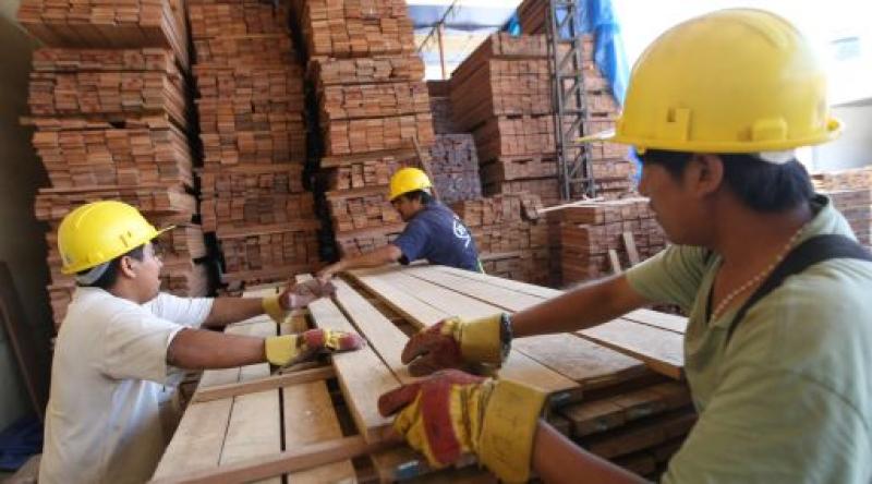 MADERA PERUANA DESPIERTA INTERÉS ENTRE LOS COMPRADORES EUROPEOS