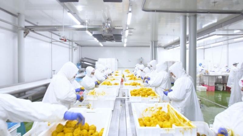Mariposa Andina apuesta por frutas congeladas de nicho en mercados internacionales