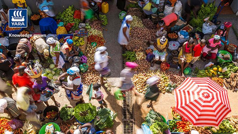 Más alimentos con menos huella de carbono