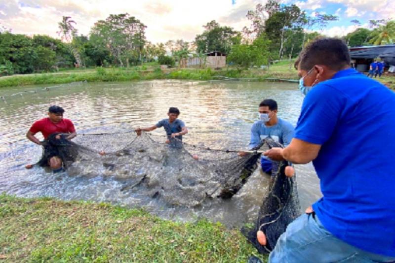 Más de 52.000 peruanos desarrollaron proyectos e iniciativas de innovación en pesca y acuicultura en los últimos 5 años