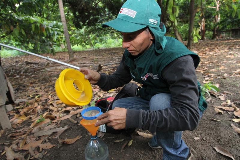 Más de 70 mil productores hortofrutícolas son beneficiados con campaña de control de mosca de la fruta