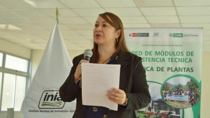 Más de 80 mil productores mejoran la calidad de sus cultivos con clínica de plantas