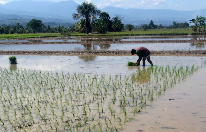 MÁS DE MIL ESPECIALISTAS SE CAPACITAN SOBRE EL IMPACTO DE LA HUELLA HÍDRICA EN LA AGRICULTURA