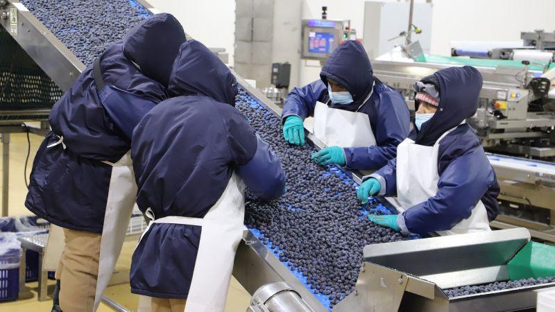 Más del 50% de los empleos generados por las exportaciones totales son del sector agro